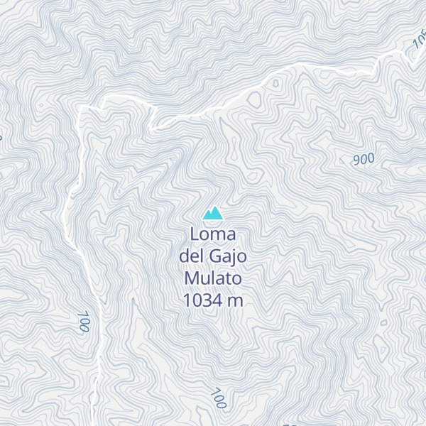 Map of Loma del Gajo Mulato
