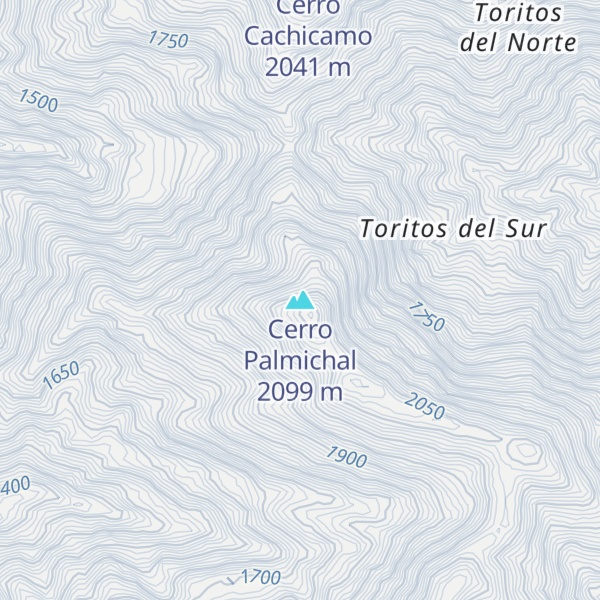 Map of Cerro Palmichal