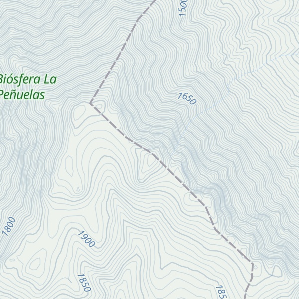 Map of Cerro Las Vizcachas