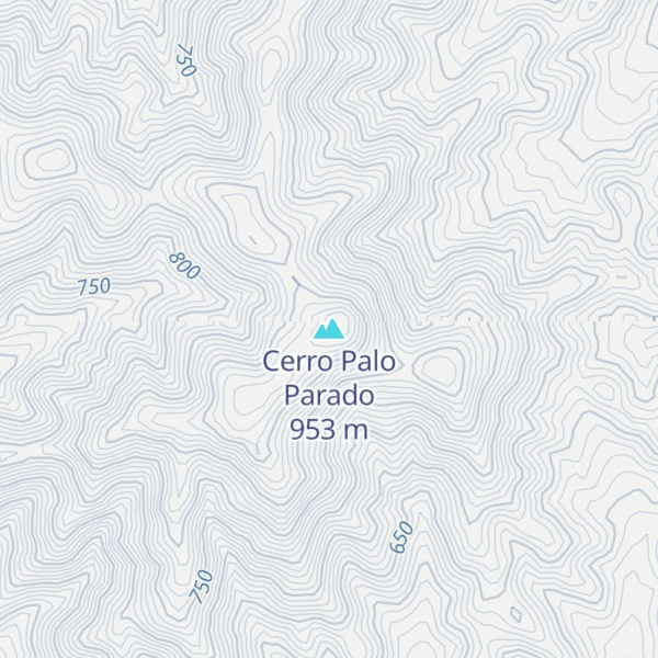 Map of Cerro Palo Parado