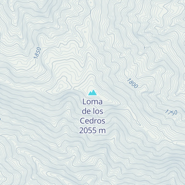 Map of Loma de los Cedros