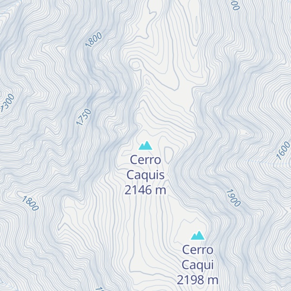 Map of Cerro Caquis