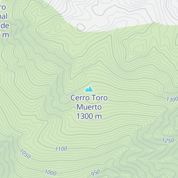 Map of Cerro Toro Muerto