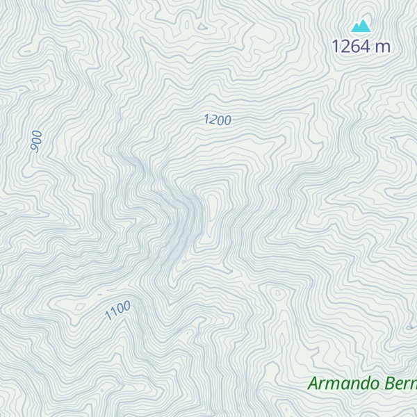 Map of Alto de los Palos Quemados