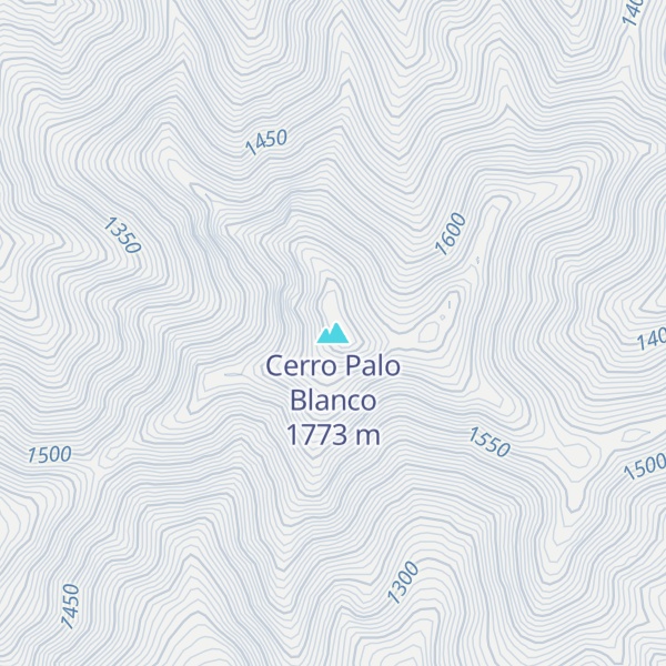 Map of Cerro Palo Blanco