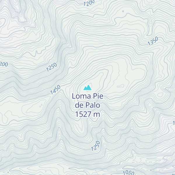 Map of Loma Pie de Palo