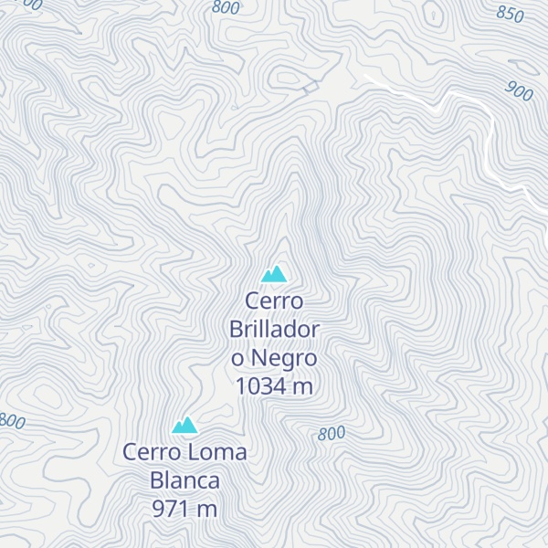 Map of Cerro Brillador o Negro