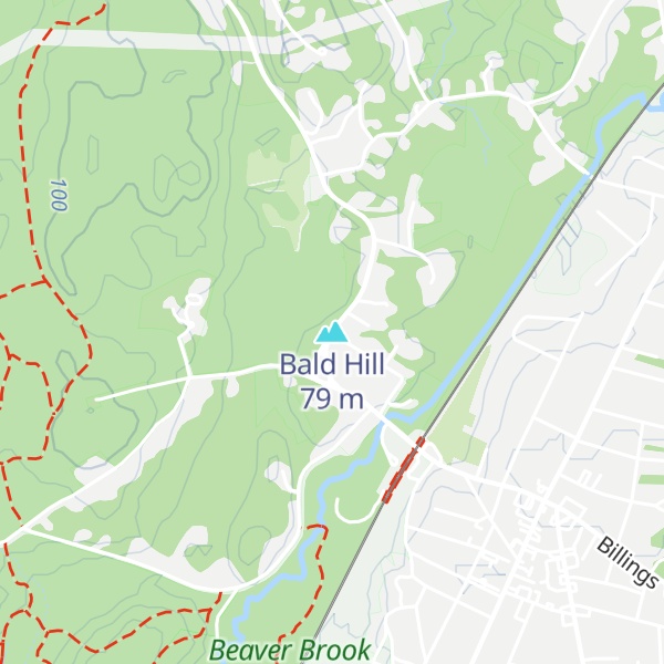Map of Bald Hill