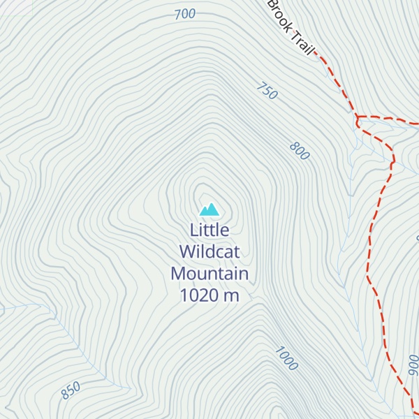 Map of Little Wildcat Mountain