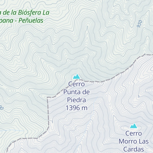 Map of Cerro Punta de Piedra
