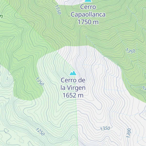 Map of Cerro de la Virgen