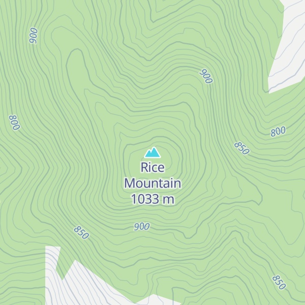 Map of Rice Mountain