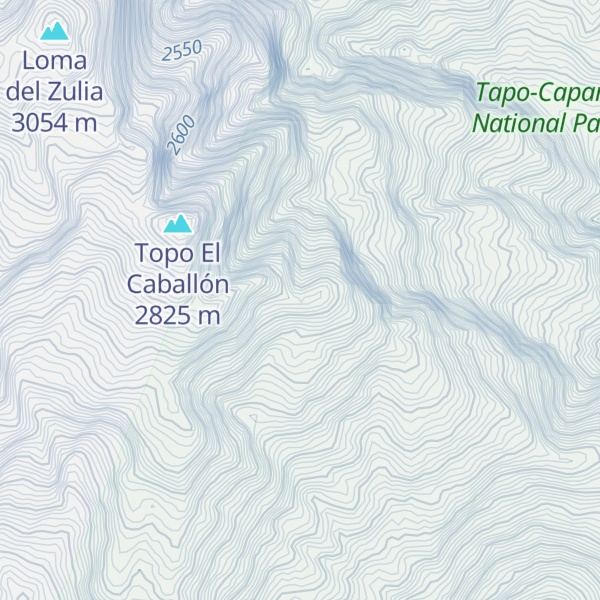 Map of Cerro El Caballón