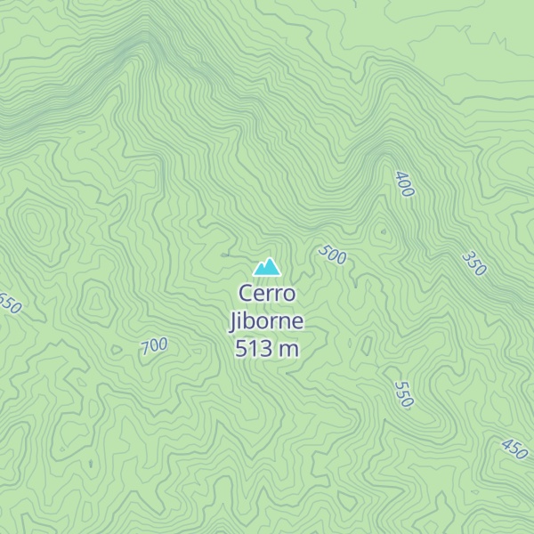 Map of Cerro Jiborne