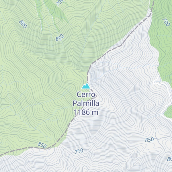 Map of Cerro Palmilla