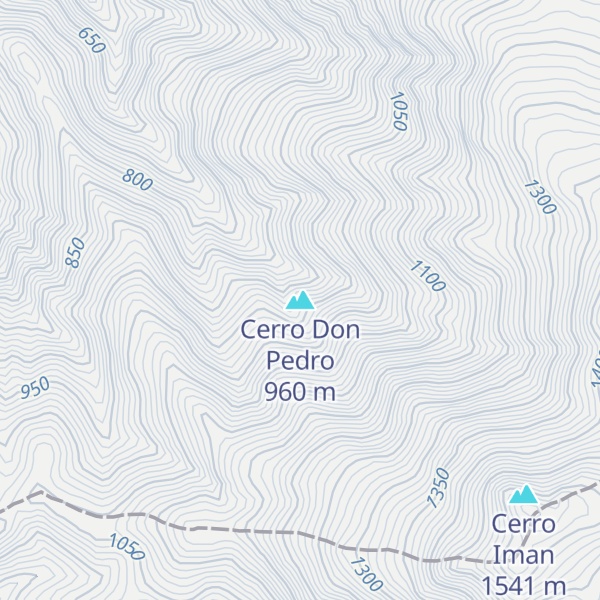 Map of Cerro Don Pedro