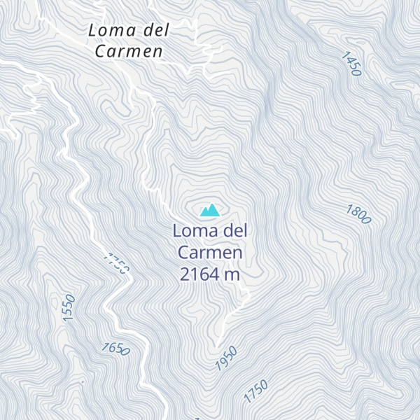 Map of Loma del Carmen