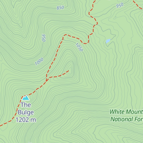 Map of The Horn