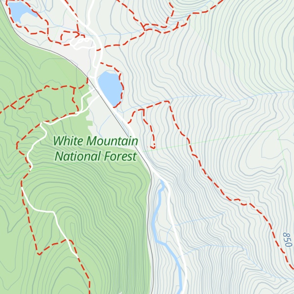 Map of Elephant Head