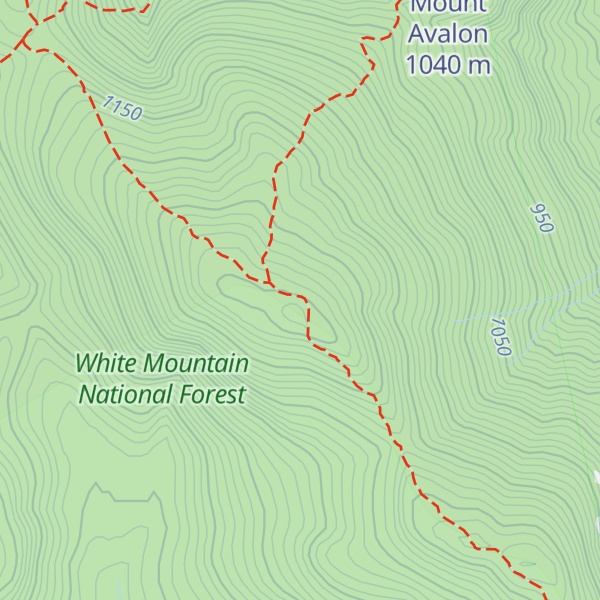 Map of Mount Field