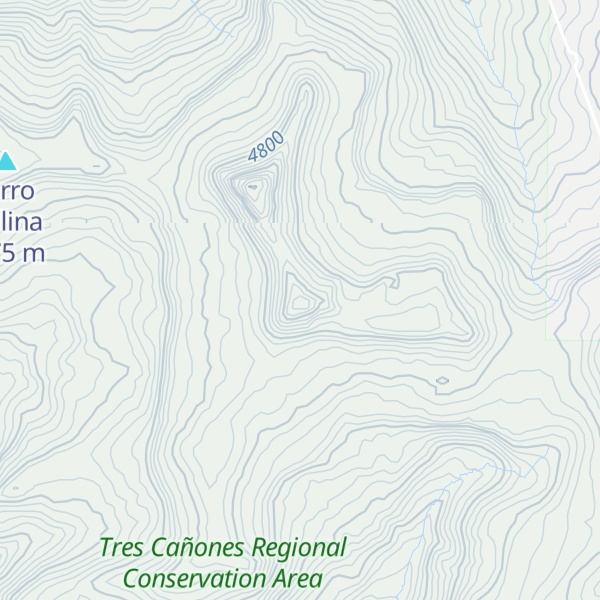 Map of Cerro Sayuta