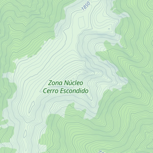 Map of Cerro Escondido