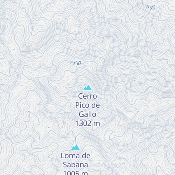 Map of Cerro Pico de Gallo
