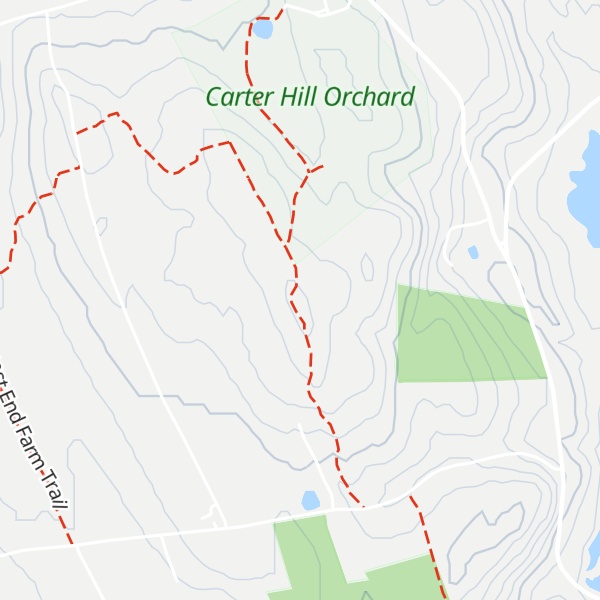 Map of Pine Hill
