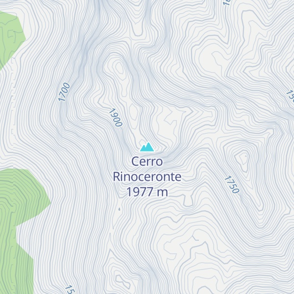 Map of Cerro Rinoceronte