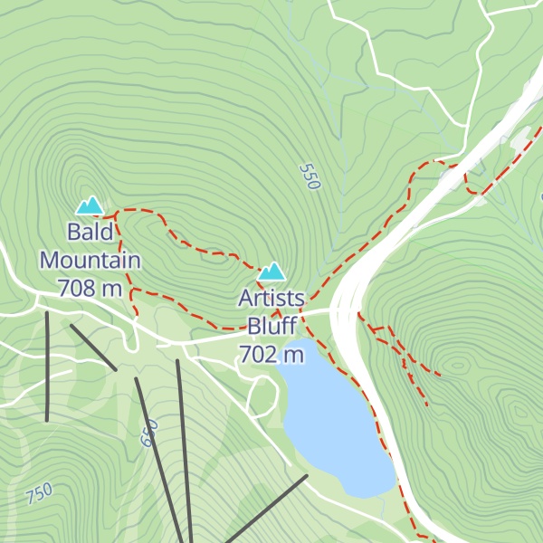 Map of Artists Bluff