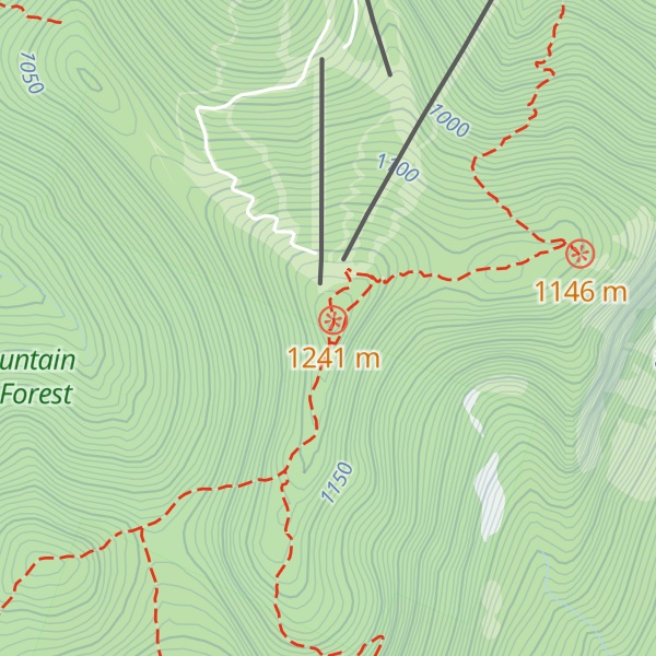Map of Cannon Mountain