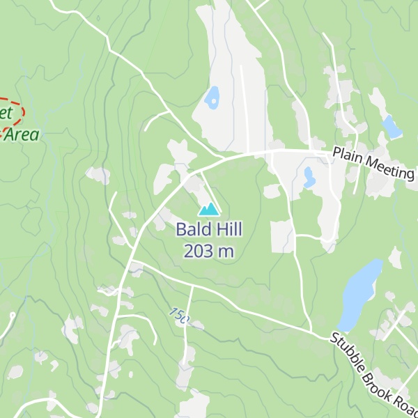 Map of Bald Hill