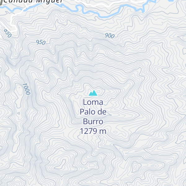 Map of Loma Palo de Burro