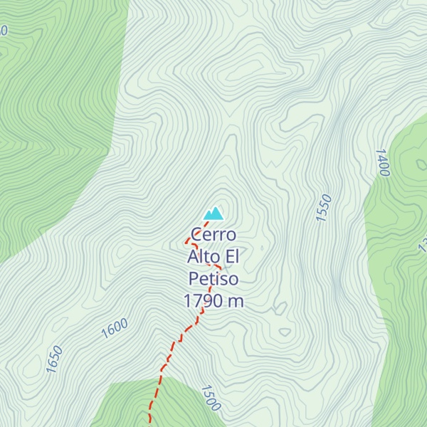 Map of Cerro Alto El Petiso