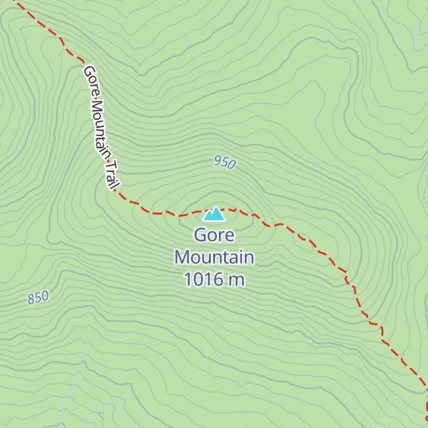 Map of Gore Mountain