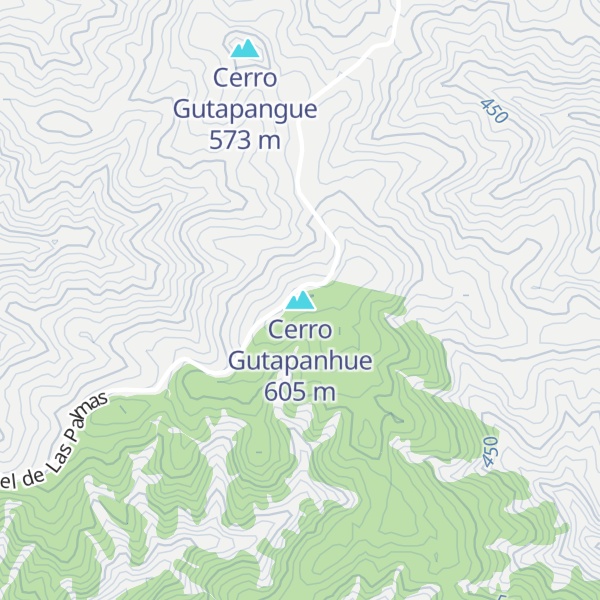 Map of Cerro Gutapanhue