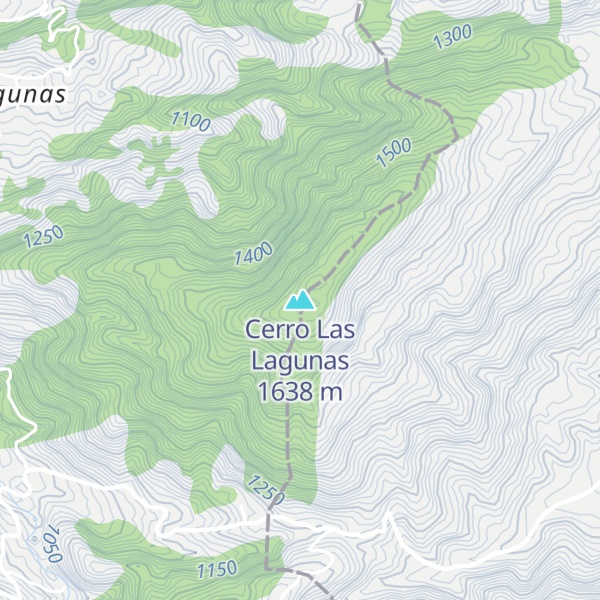 Map of Cerro Las Lagunas