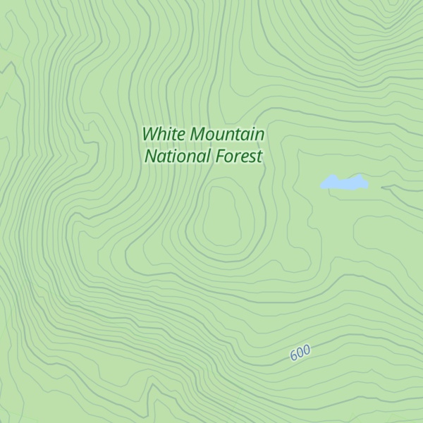 Map of Bald Hill