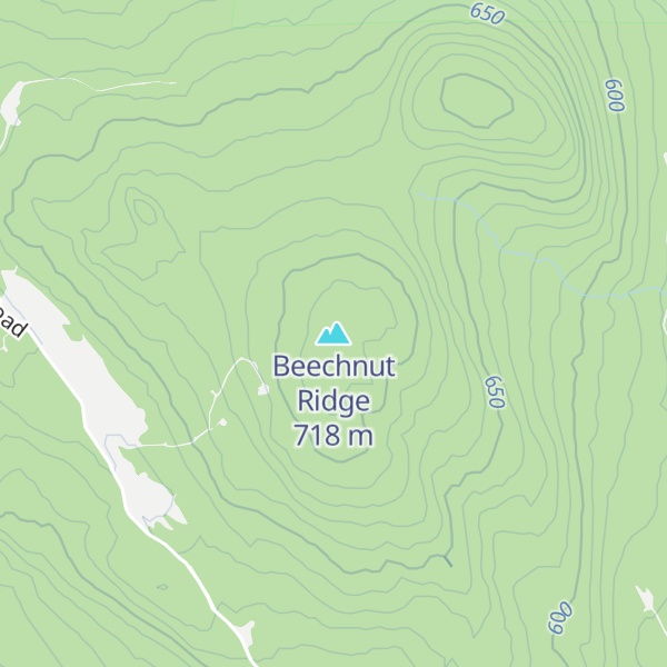 Map of Beechnut Ridge