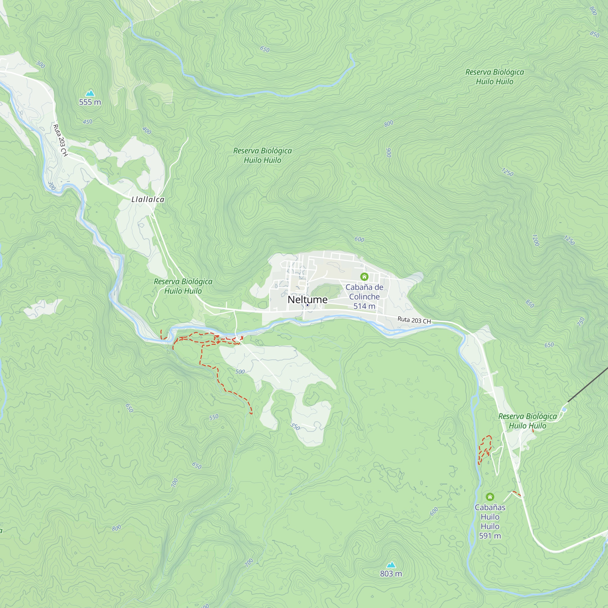 Bosque verde map