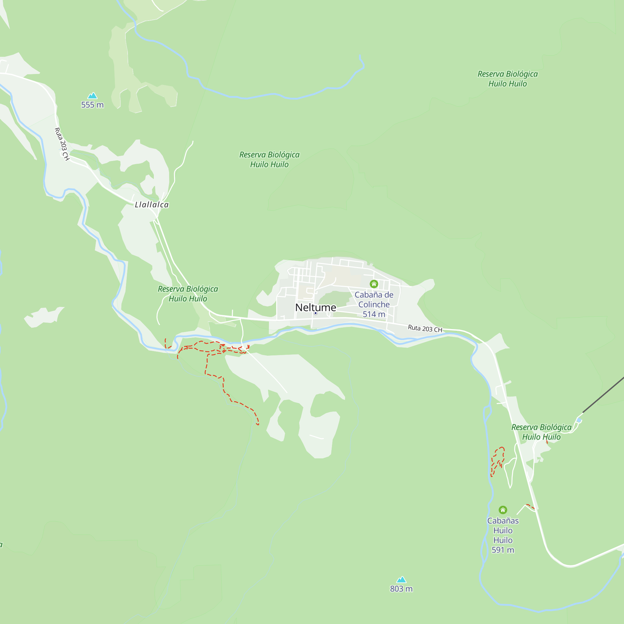 Bosque verde map