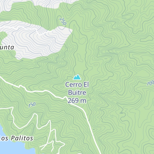 Map of Cerro El Buitre