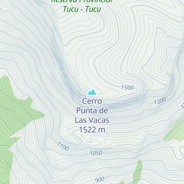 Map of Cerro Punta de Las Vacas
