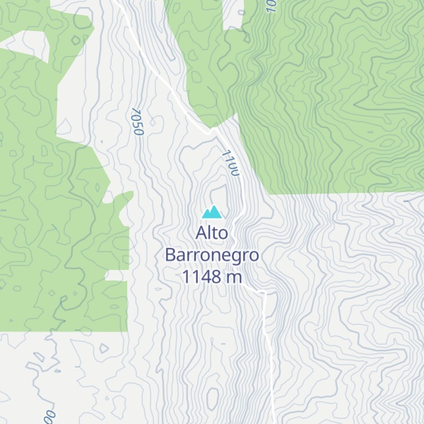 Map of Alto Barronegro