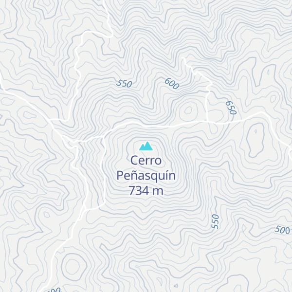 Map of Cerro Peñasquín