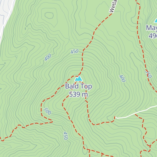 Map of Bald Top