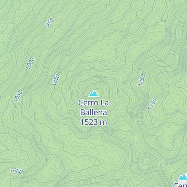 Map of Cerro La Ballena