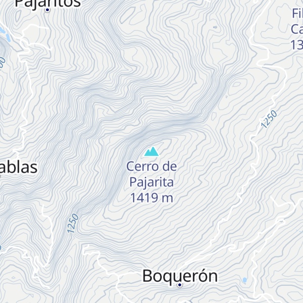 Map of Cerro de Pajarita