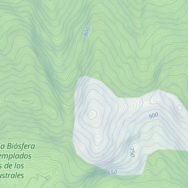 Map of Cerro Calamaso