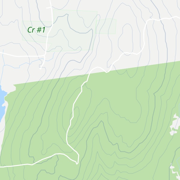 Map of Diamond Match Ridge